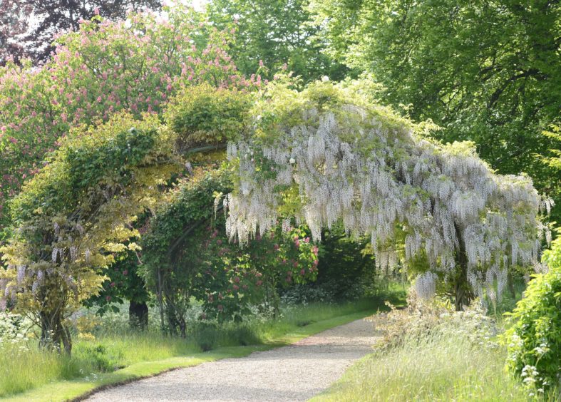 Chippenham Park Garden