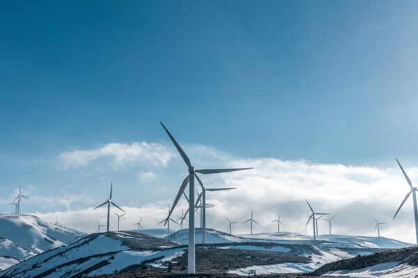 Windfarm sustainable energy