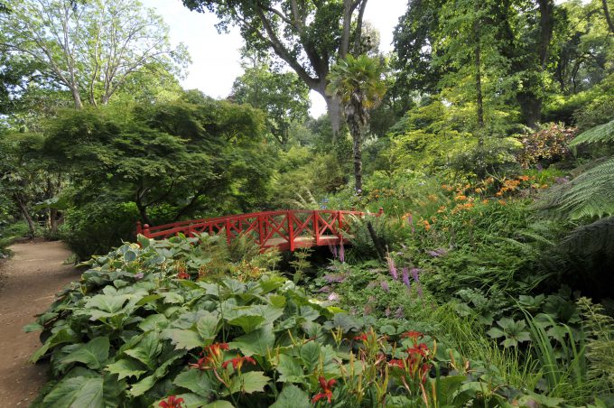 Abbotsbury Subtropical Gardens