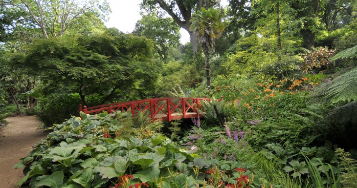 Abbotsbury Subtropical Gardens