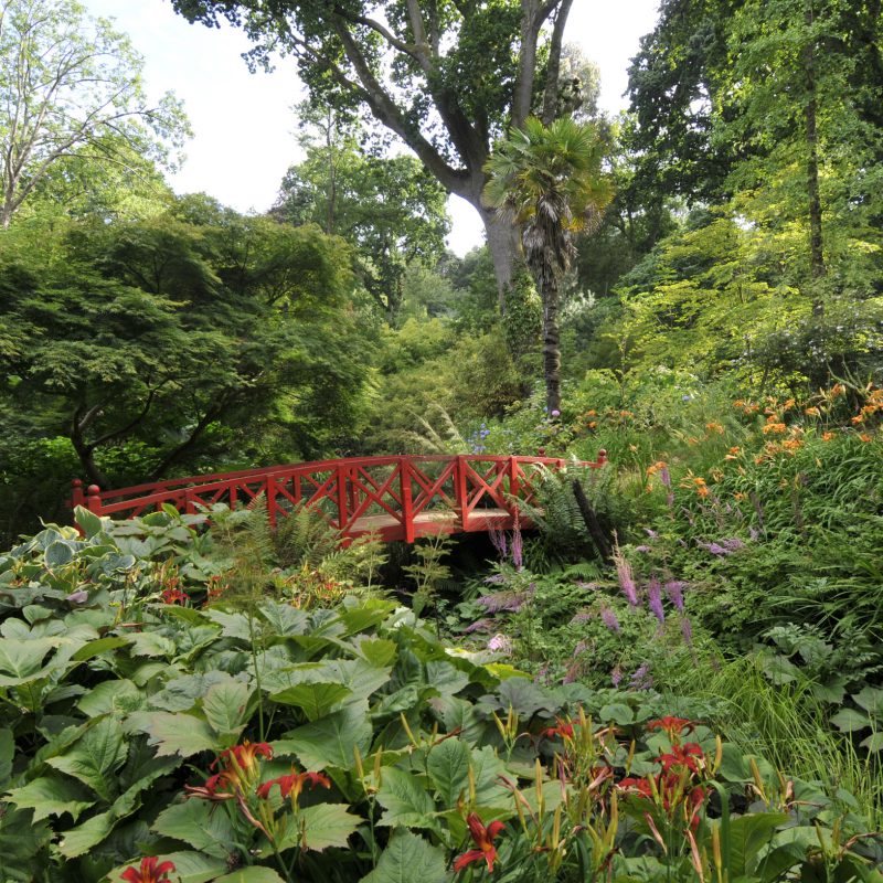 Abbotsbury Subtropical Gardens