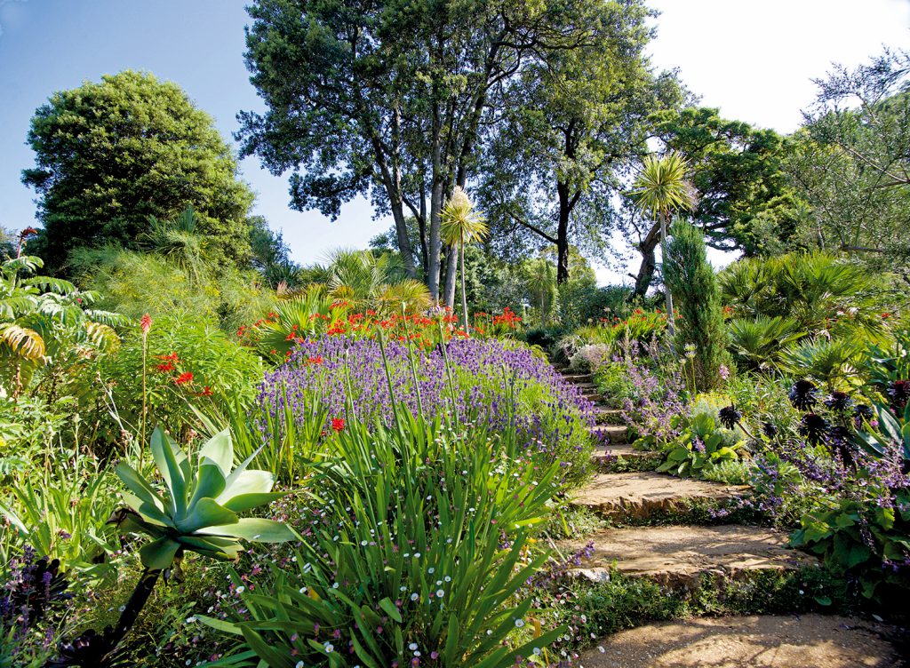 Abbotsbury Subtropical Gardens, Dorset