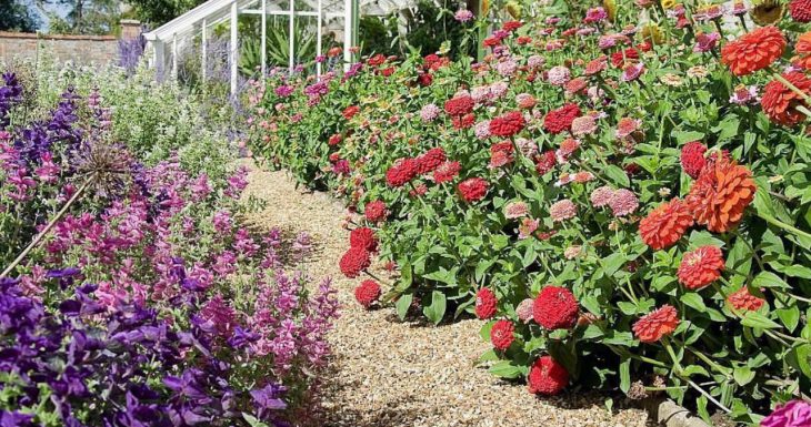 Barton Bendish Hall garden