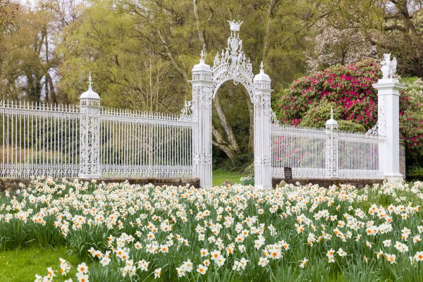 Cholmondeley Castle Gardens