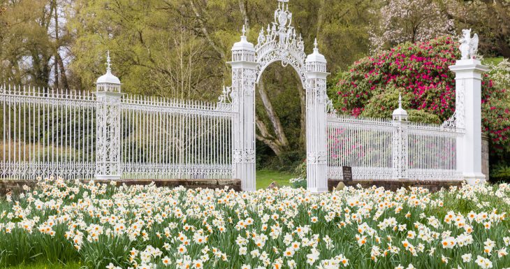 Cholmondeley Castle Gardens