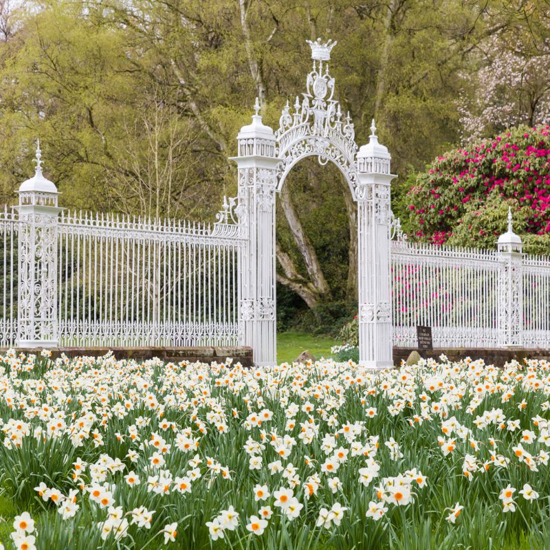 Cholmondeley Castle Gardens