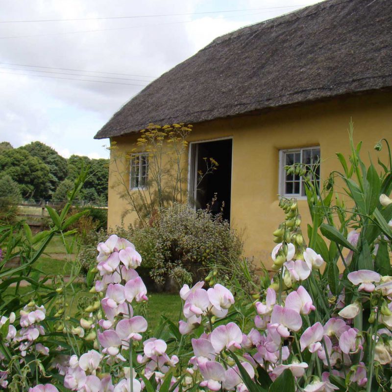 Elsham Hall historic house