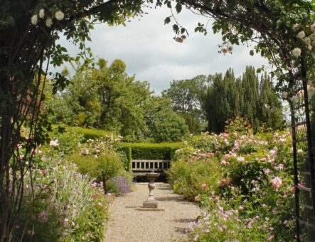 Bryngwyn Hall Rose garden