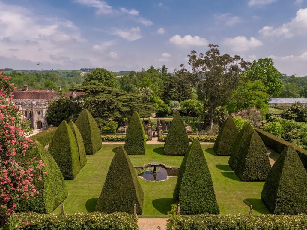 Athelhampton House topiary