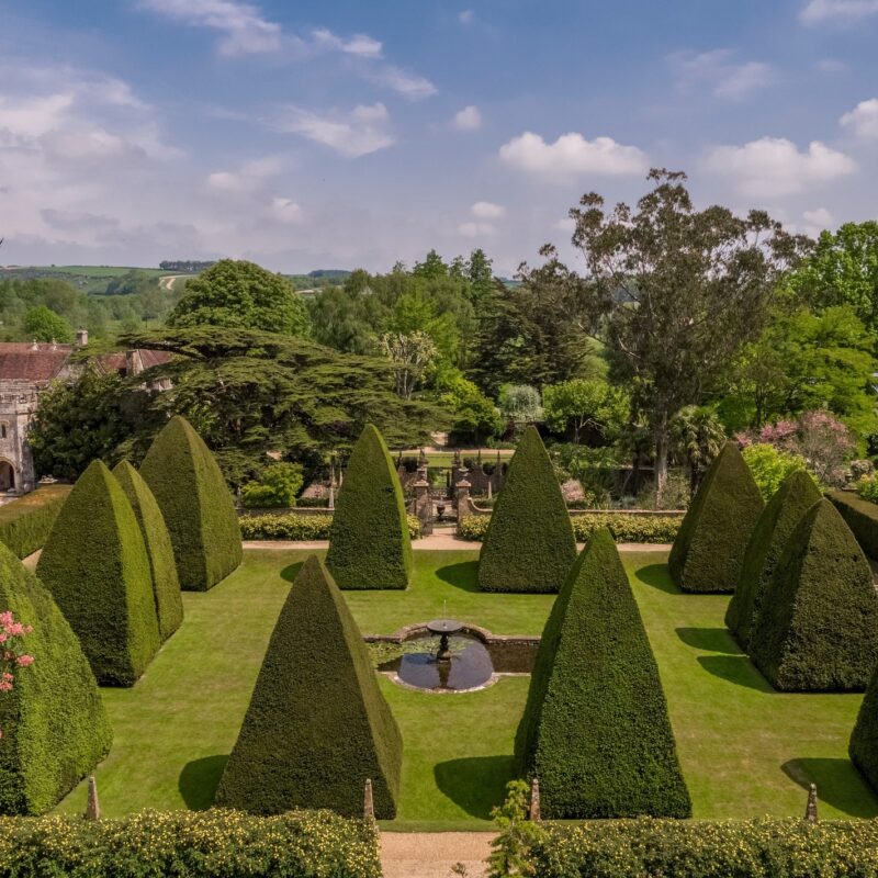 Athelhampton House topiary