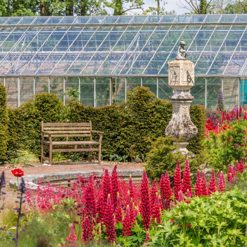 Athelhampton House Gardens