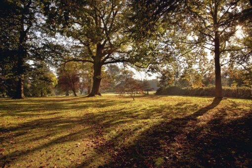 Autumn at Hever in the Anne Boleyn Garden