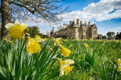 Pic by Samantha Cook Photography. Beaulieu, Hampshire. Daffodils and Palace House.