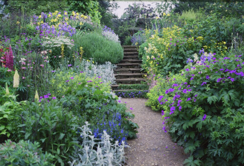 Benington Lordship garden