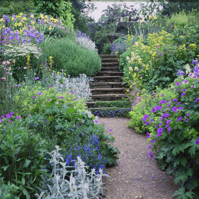 Benington Lordship garden