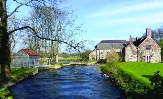 Bindon Mill river