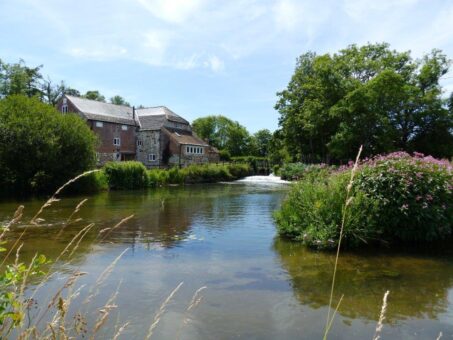 Bindon Mill summer river