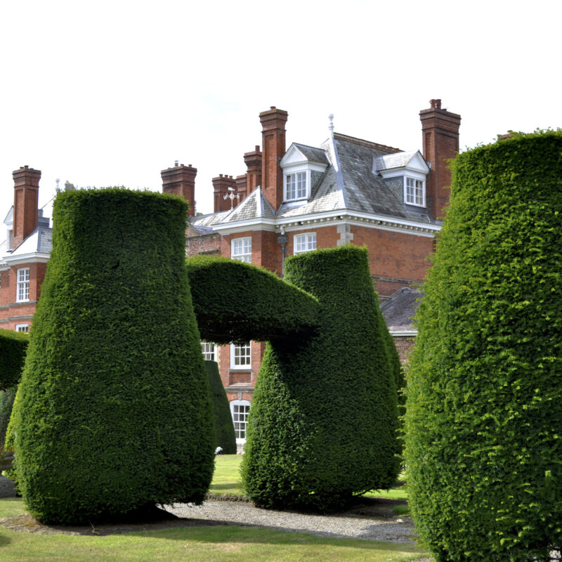 Bodrhyddan Hall topiary