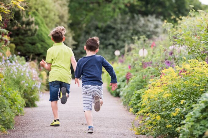 Borde Hill Gardens running