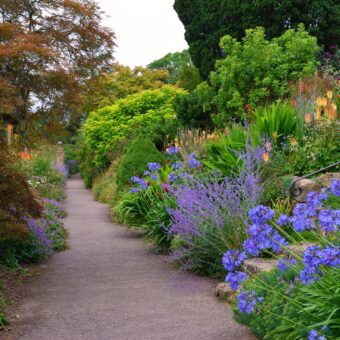 Borde Hill Gardens grounds and path