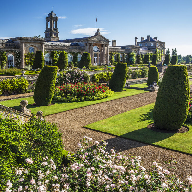 Bowood House topiary