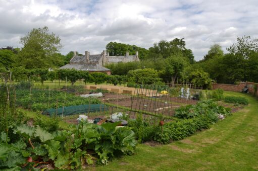 Brancepeth Castle walled garden