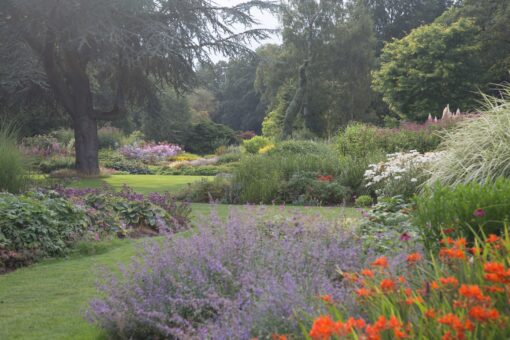 Bressingham Garden flowers