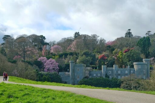 Caerhays Castle grounds