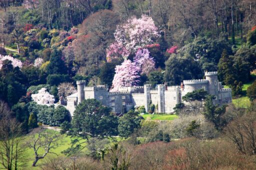 Caerhays Castle landscape