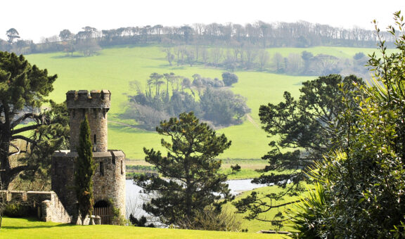Caerhays Castle grounds view