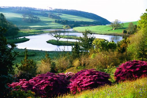 Caerhays Castle grounds lake