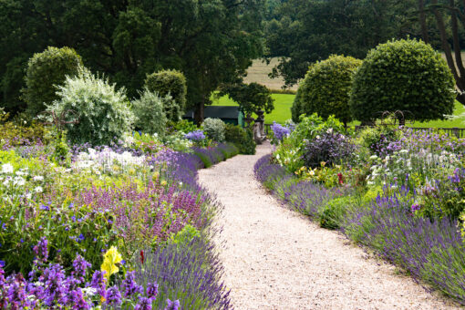 Castle Hill Gardens Millenium Garden