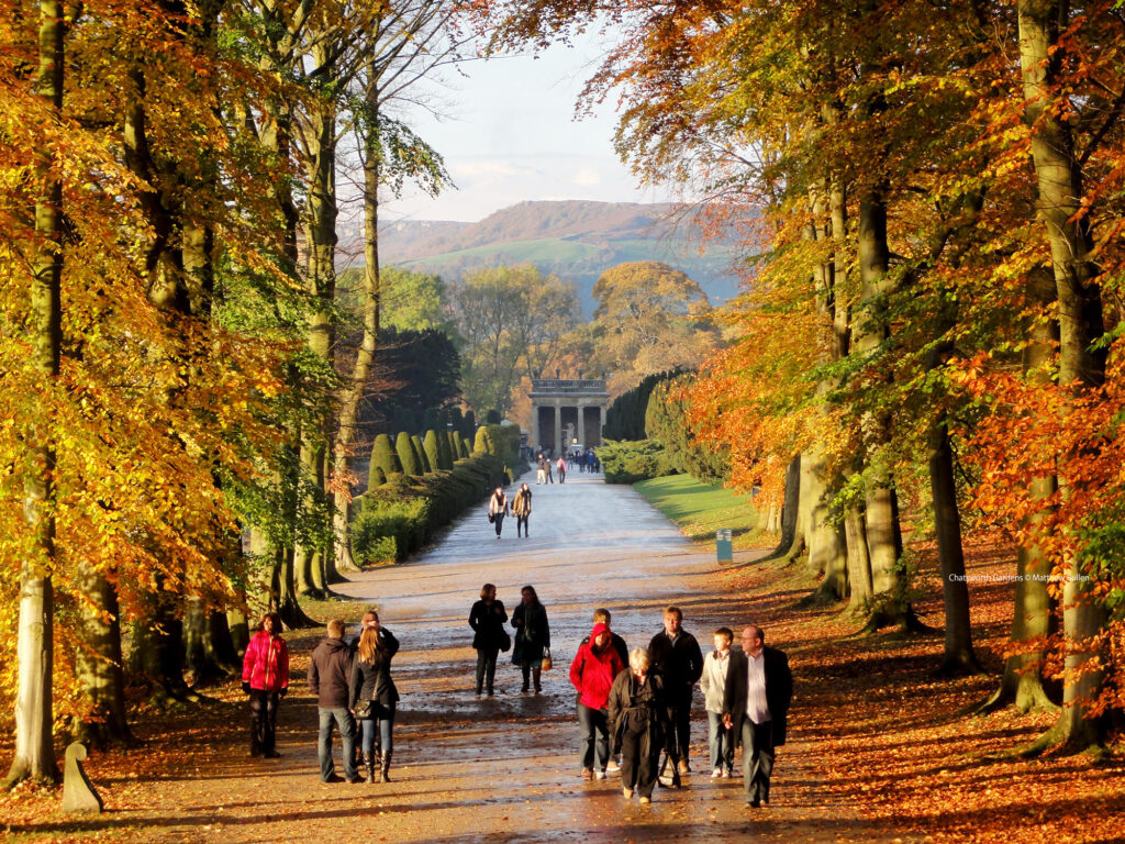 Chatsworth. Blanche. Credit Matthew Bullen