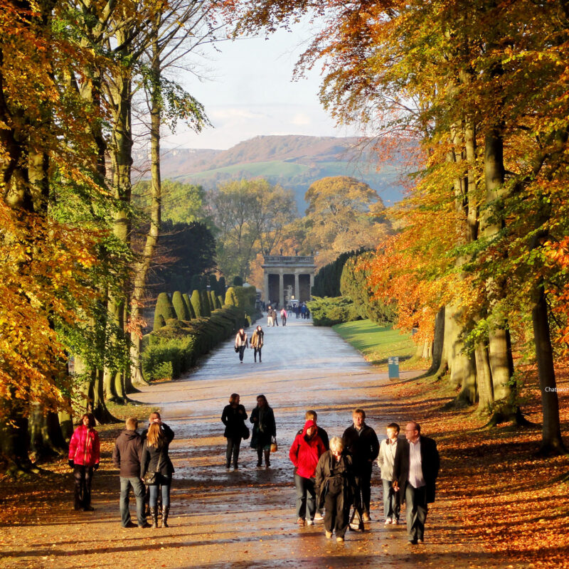 Chatsworth. Blanche. Credit Matthew Bullen