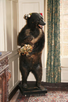 Clifton House taxidermy stuffed bear