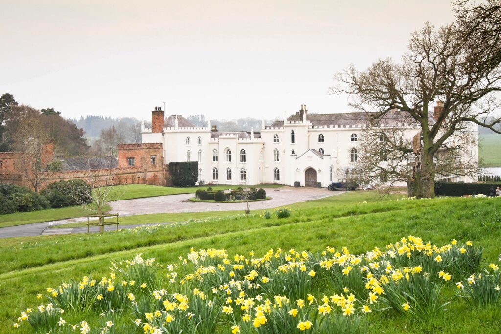 Combermere Abbey spring daffodils