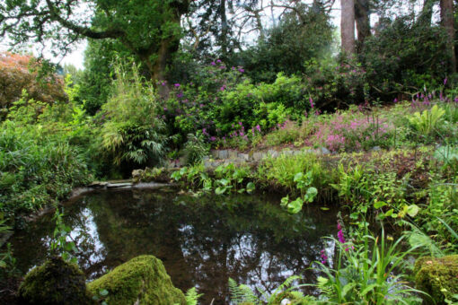 Coombe Trenchard garden