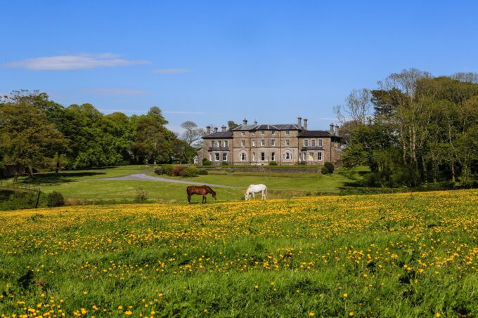 Cresselly House grounds view