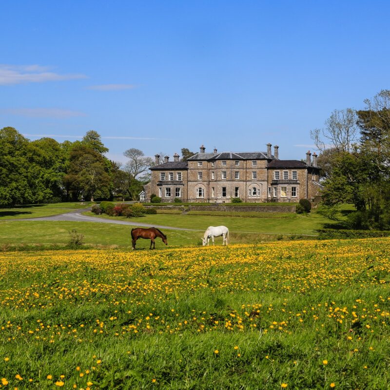 Cresselly House grounds view