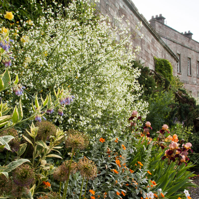 Dalemain Mansion grounds and garden