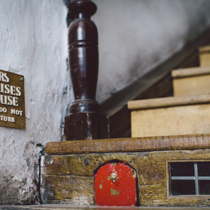 Dalemain Mansion staircase mouse door staircase