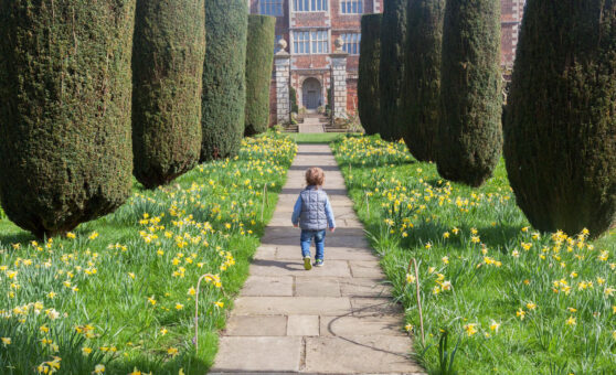 Doddington Garden garden path