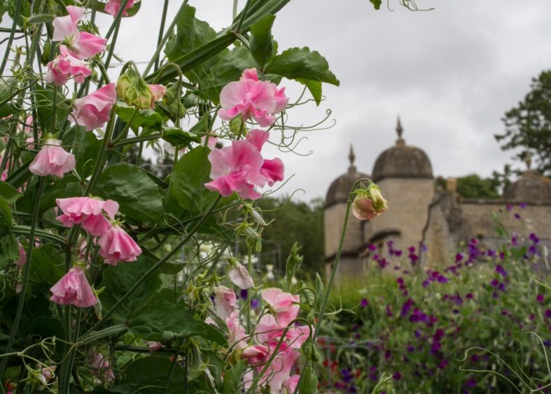 Easton Walled Gardens in Lincolnshire