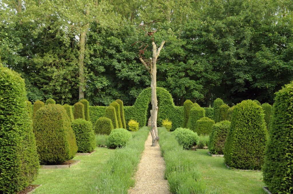 Elsing Hall topiary in the garden