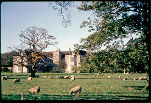 Fairfield Hall grounds with sheep