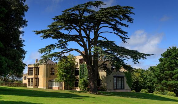 Farringford on the Isle of Wight with a large tree