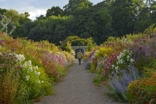 Floors Castle garden pathway with flowers