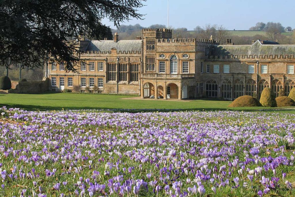 Forde Abbey spring plants in Somerset