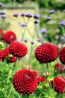 Garden of the Year 2019 Newby Hall