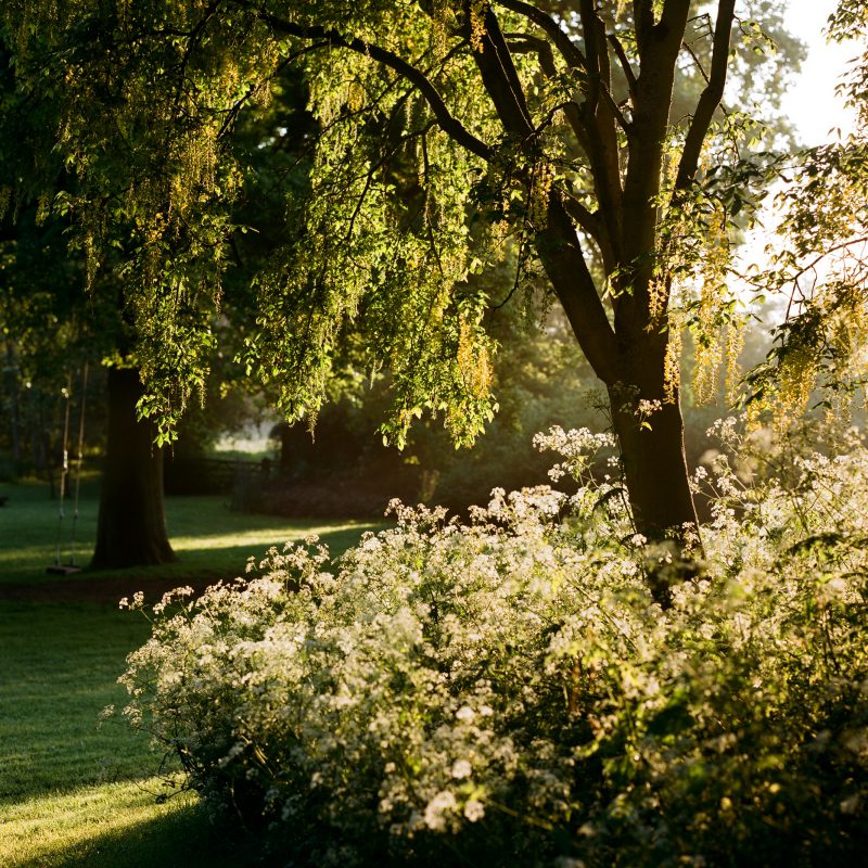 Gibberd Garden sunlight in the summer